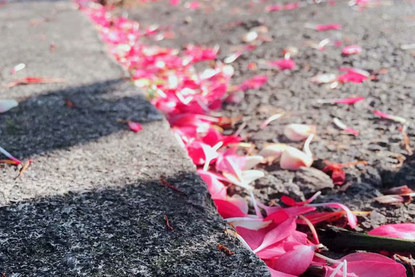今年春節(jié)你拍照了嗎？來跟卓航信息小卓斗圖呀？